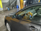 Toyota Camry 2006 года