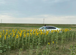 Nissan Teana 2007 года