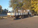 Манипулятор+агп
