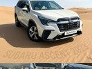 Subaru Ascent 2023 года