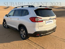 Subaru Ascent 2023 года