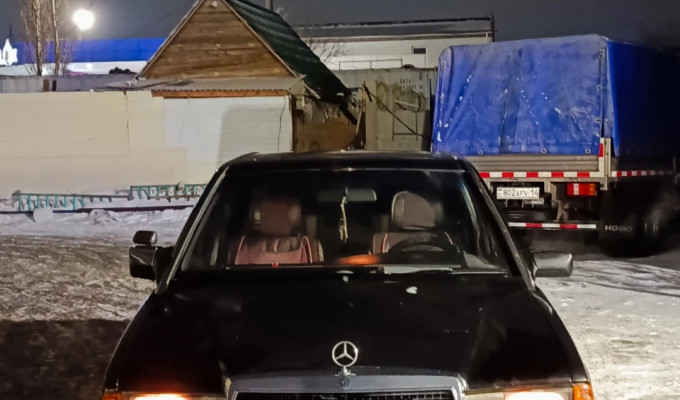 Mercedes-Benz 190 1991 года
