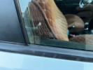 Kia Rio 2015 года