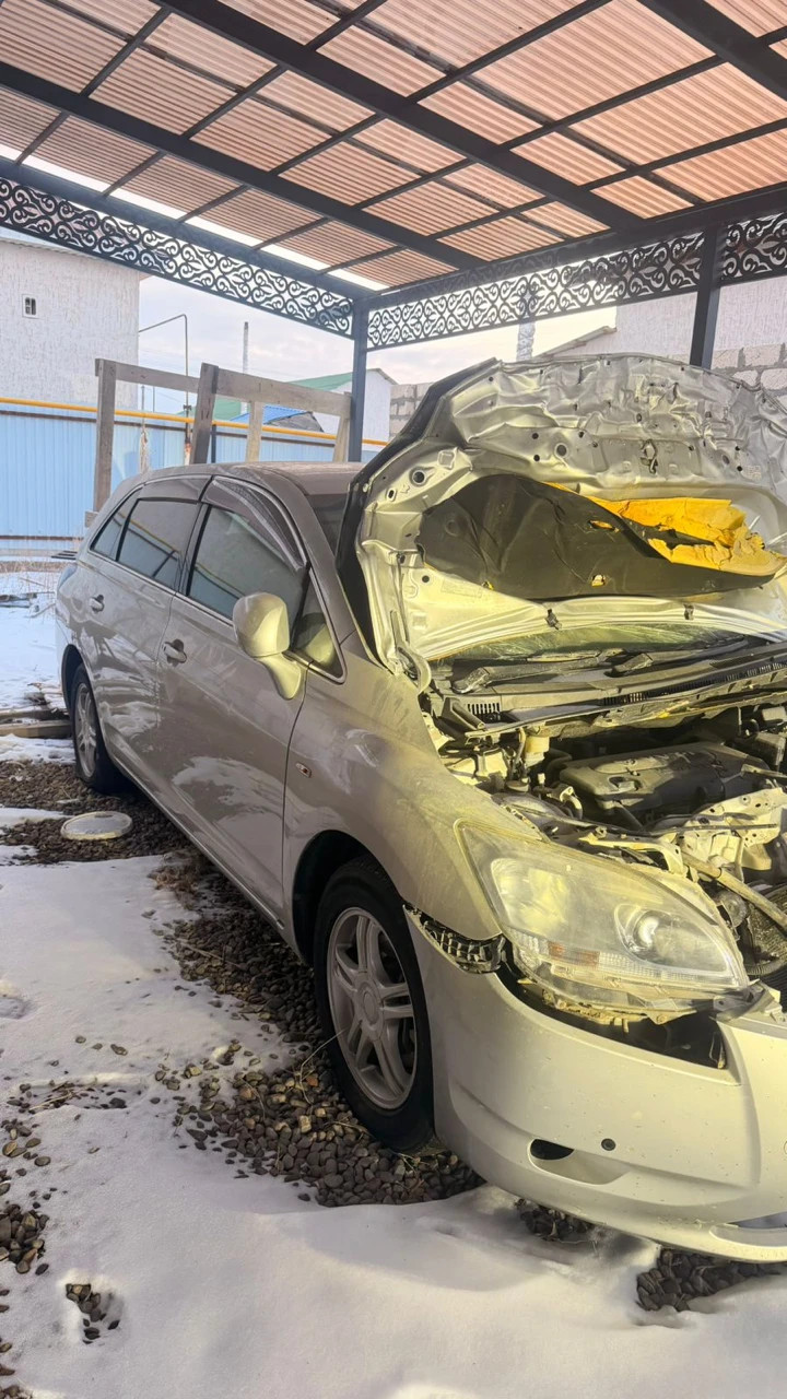 Toyota Mark X Zio, 2008