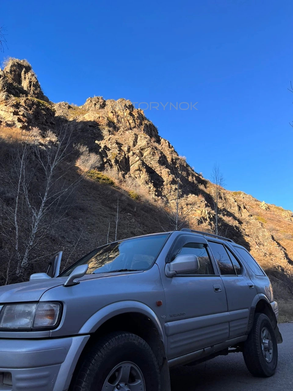 Isuzu Wizard, 1998