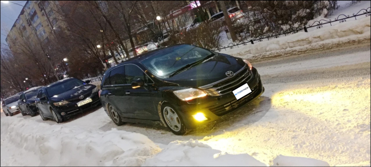 Toyota Mark X Zio, 2009