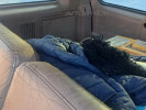 Ford Explorer 1994 года
