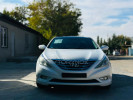 Hyundai Sonata 2010 года