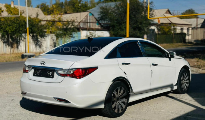 Hyundai Sonata 2010 года