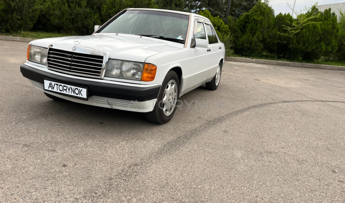 Mercedes-Benz 190 1991 года