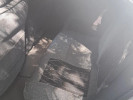 Toyota Avensis 2007 года