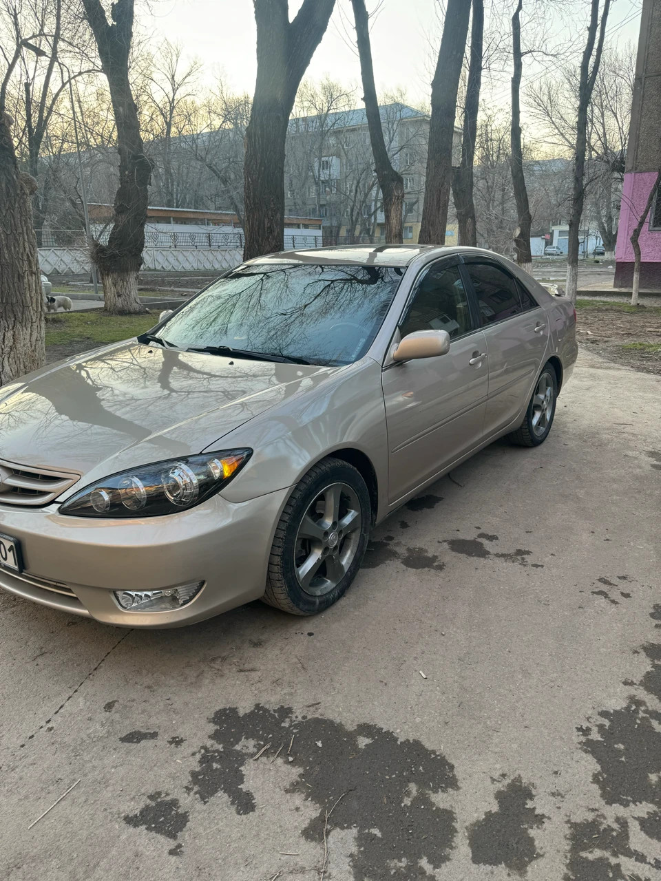 Toyota Camry, 2005