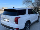 Hyundai Palisade 2022 года