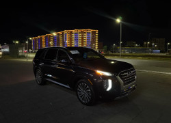 Hyundai Palisade 2020 года