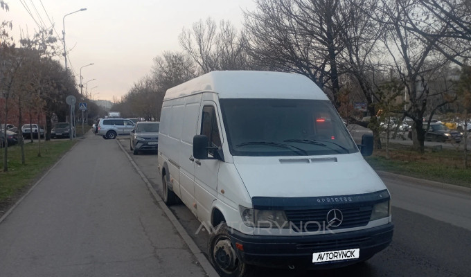 Mercedes-Benz Sprinter 1996 года