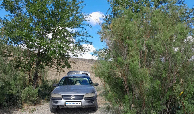 Opel Omega 1995 года