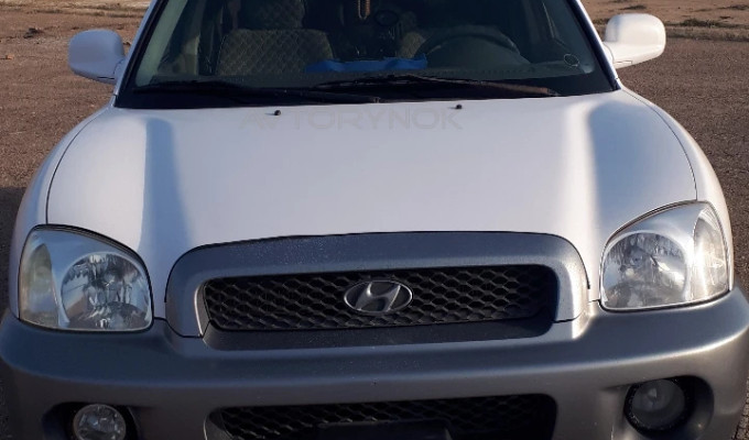 Hyundai Santa Fe 2002 года