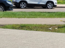 Chevrolet Tracker 2015 года