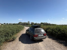 Volkswagen Passat 1996 года