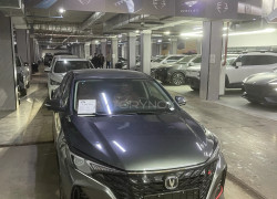 Changan Eado Plus 2025 года