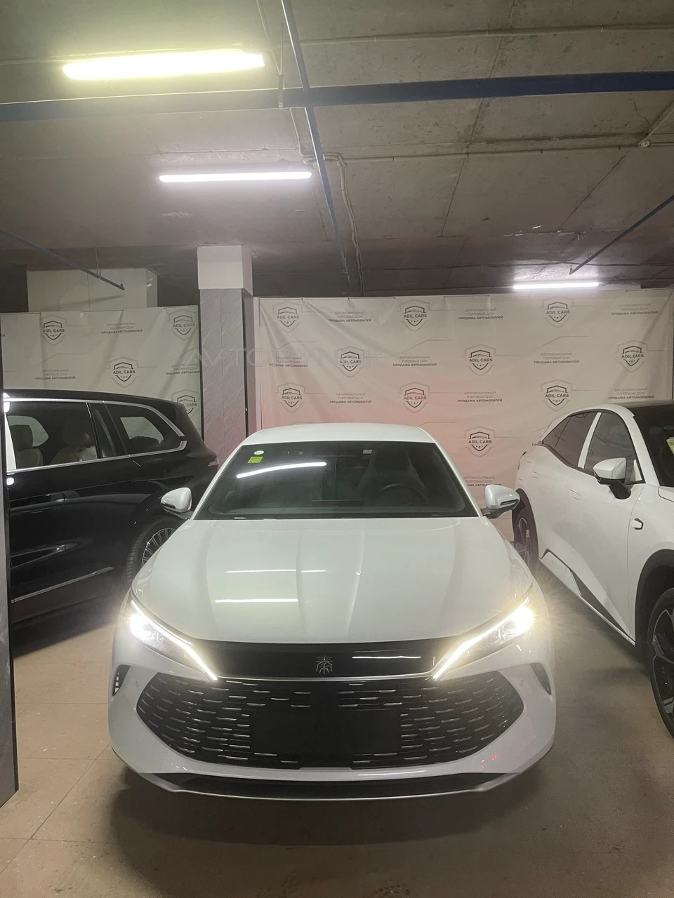 BYD QIN PLUS, 2025