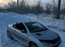 Peugeot 206 2002 года