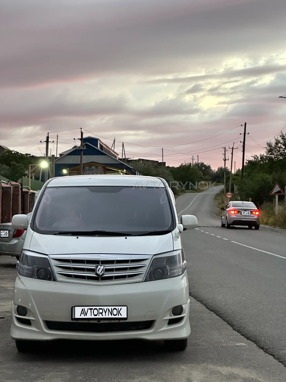 Toyota Alphard, 2008