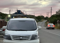 Toyota Alphard 2008 года