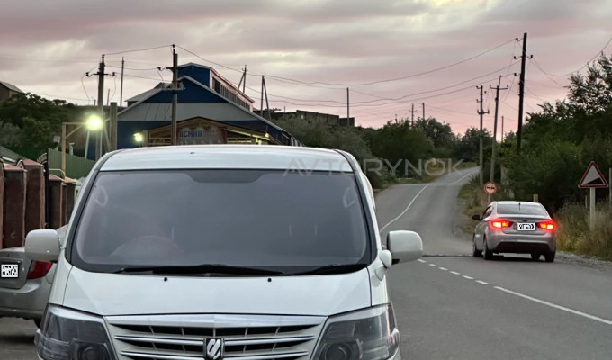 Toyota Alphard 2008 года