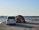 Toyota Ipsum 2005 года