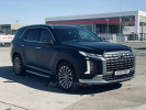 Hyundai Palisade 2023 года