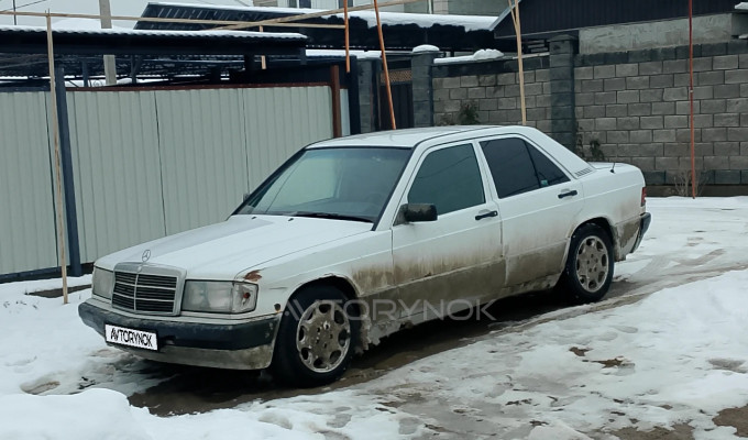Mercedes-Benz 190 1992 года