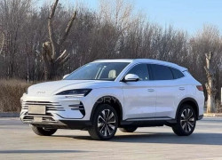 BYD Song Plus Champion 2024 года
