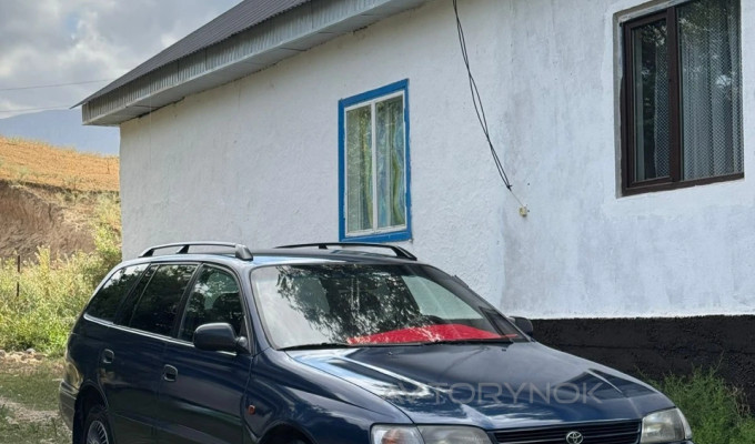 Toyota Carina E 1995 года