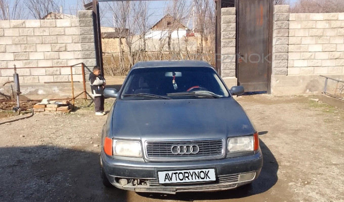 Audi 100 1993 года