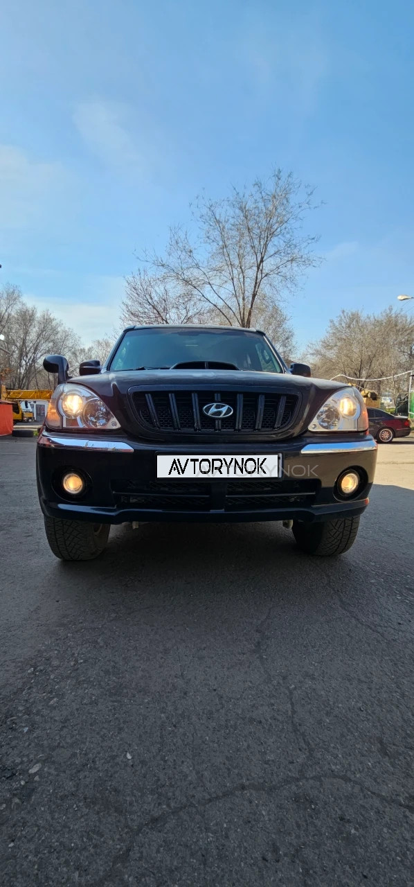 Hyundai Terracan, 2002