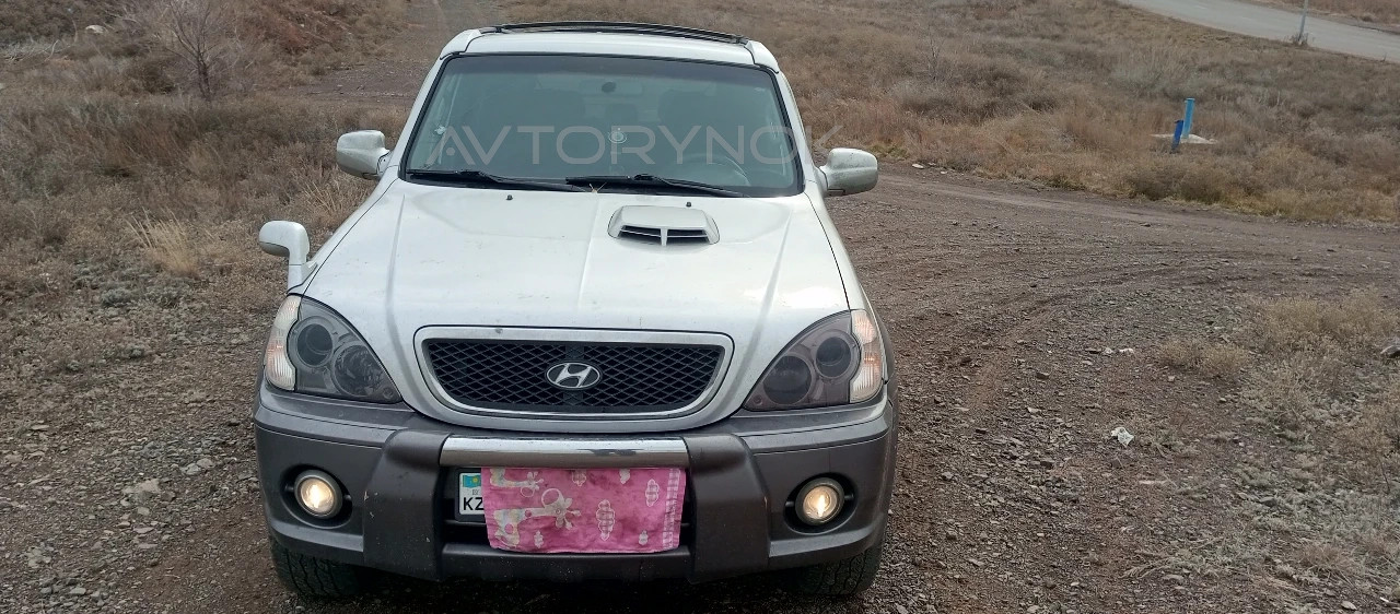 Hyundai Terracan, 2002
