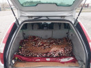 Ford Mondeo 2001 года