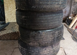 шыны