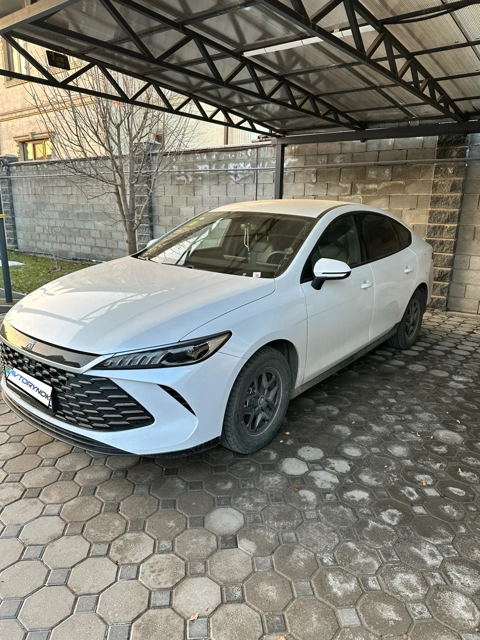 BYD QIN PLUS, 2025