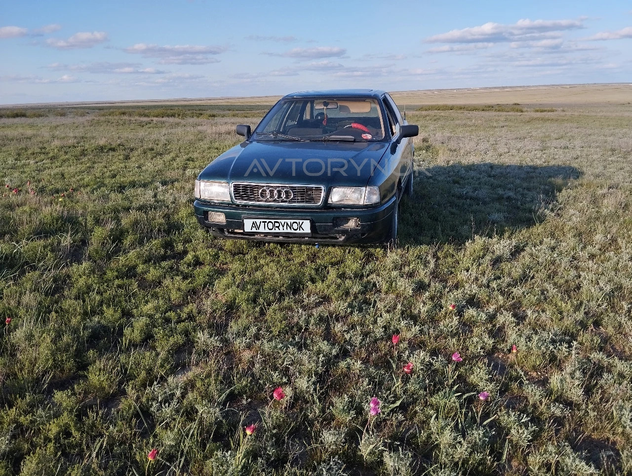Audi 80, 1991
