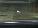 Kia K7 2019 года