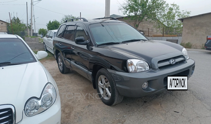 Hyundai Santa Fe 2003 года