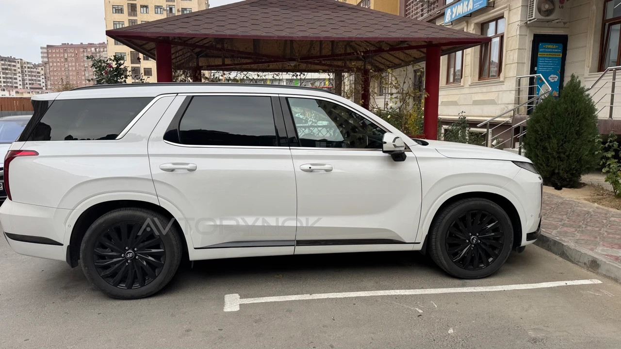 Hyundai Palisade, 2024