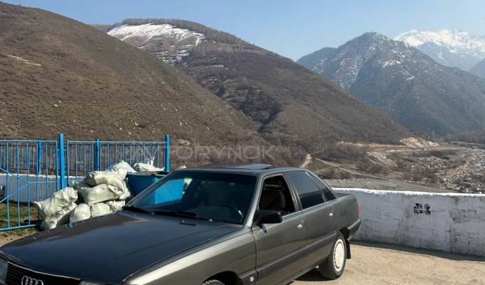 Audi 100 1989 года