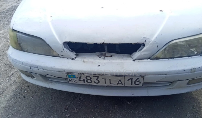 Toyota Vista 1995 года