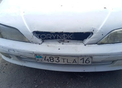 Toyota Vista 1995 года