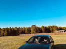 Nissan Maxima 1996 года