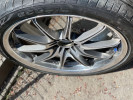 Rays Volk