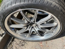 Rays Volk